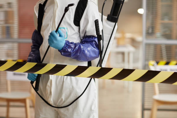 Professional Sewage Cleanup technician working in Hereford, TX